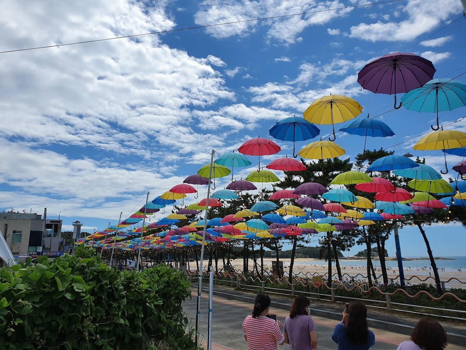 Cover Image for 말리호텔리조트