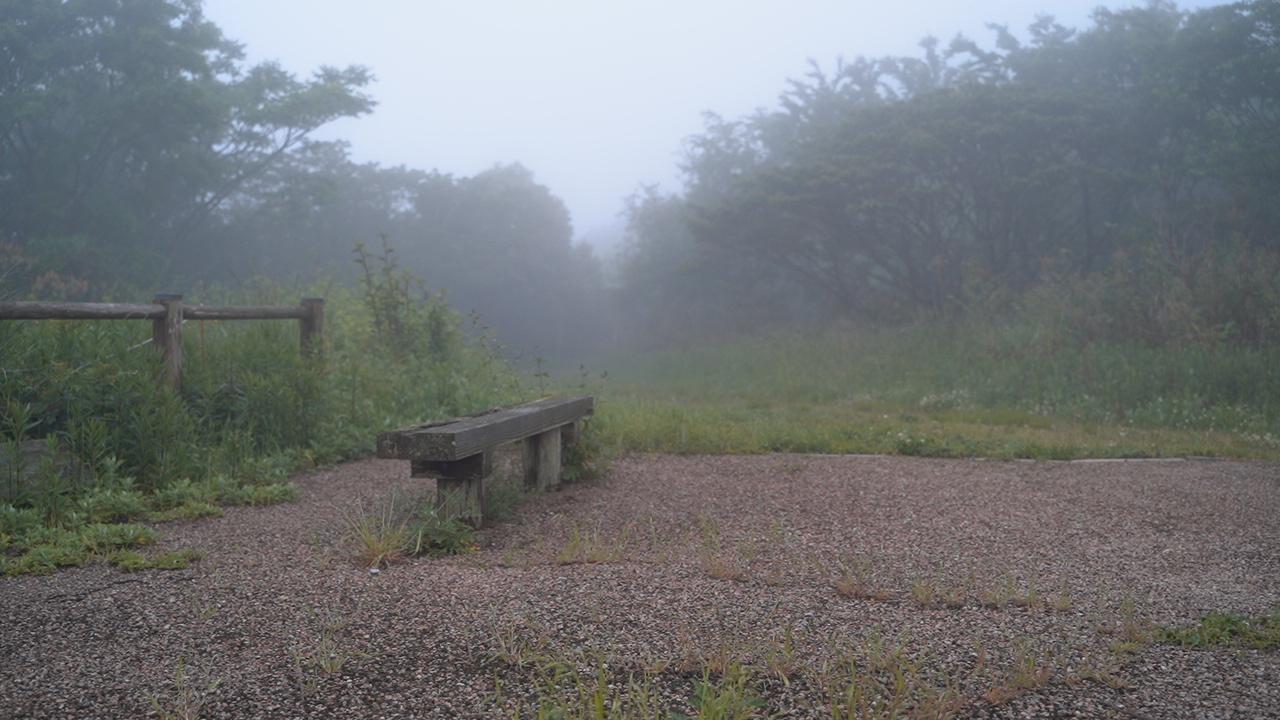 Cover Image for Ozasan Camping Ground
