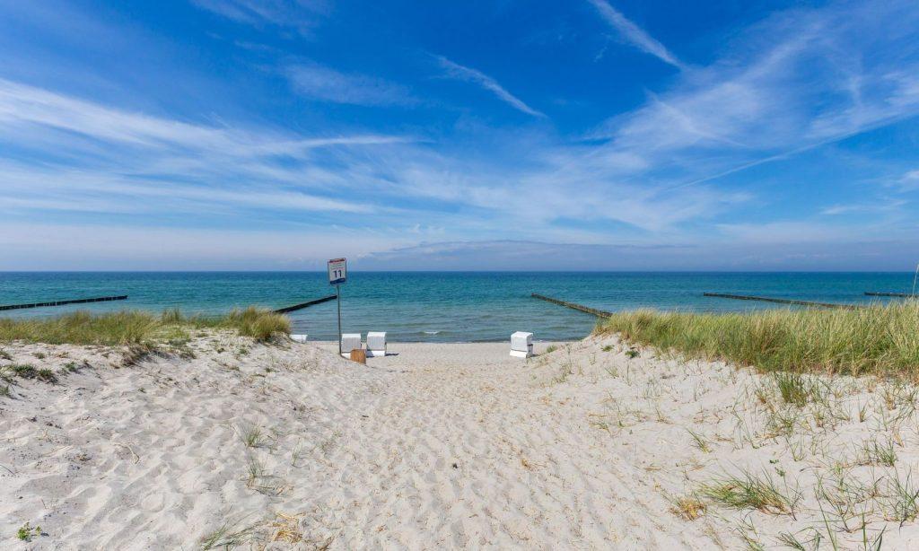 Cover Image for Zum Strandläufer