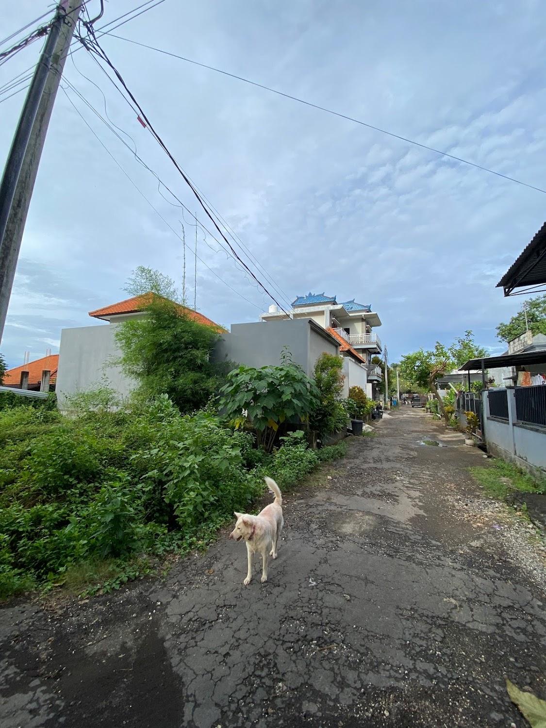 Cover Image for Villa Puri Ratna