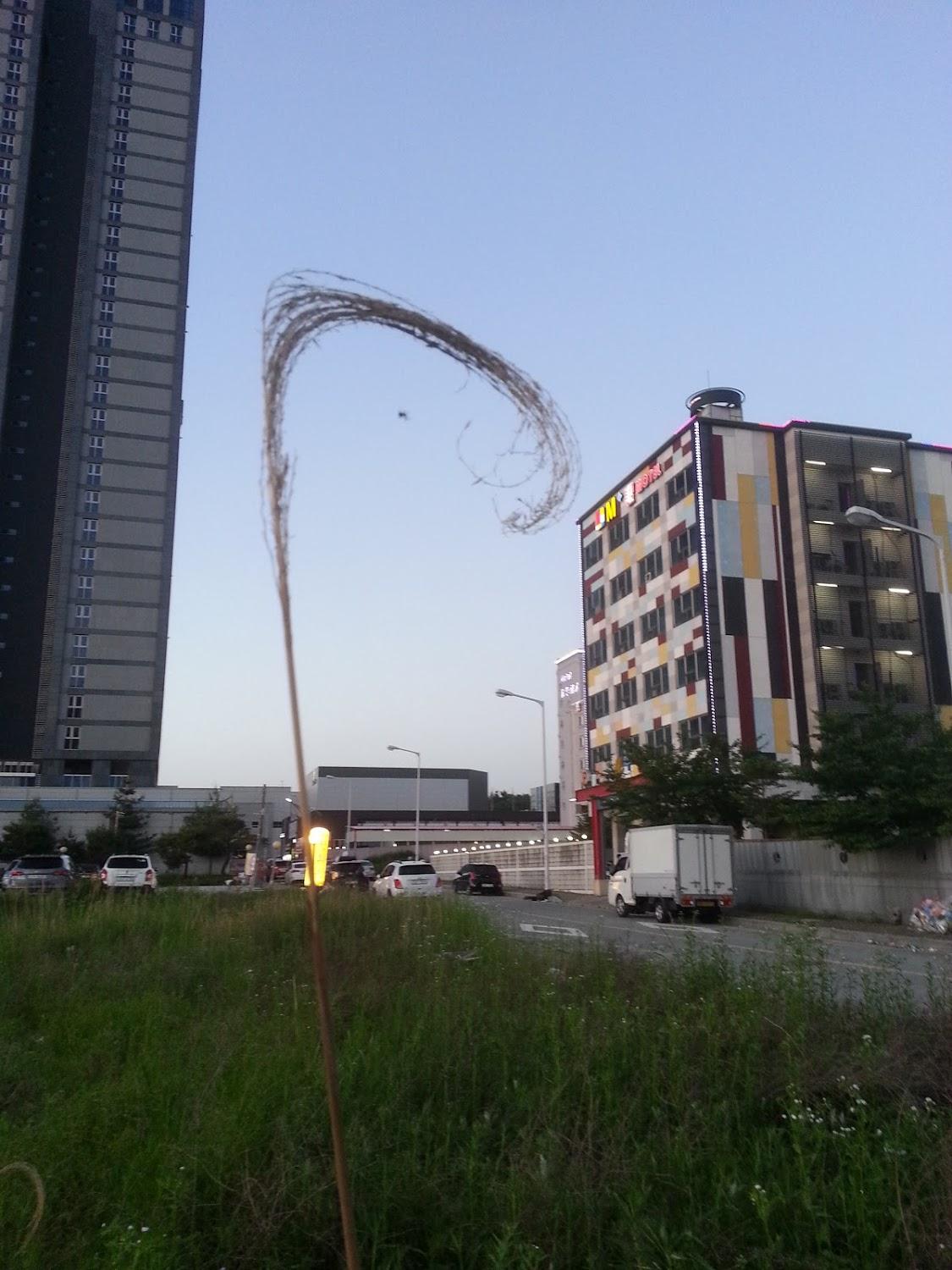 Cover Image for M텔