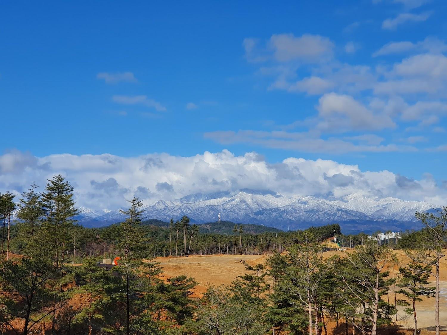Cover Image for Seolhaeone