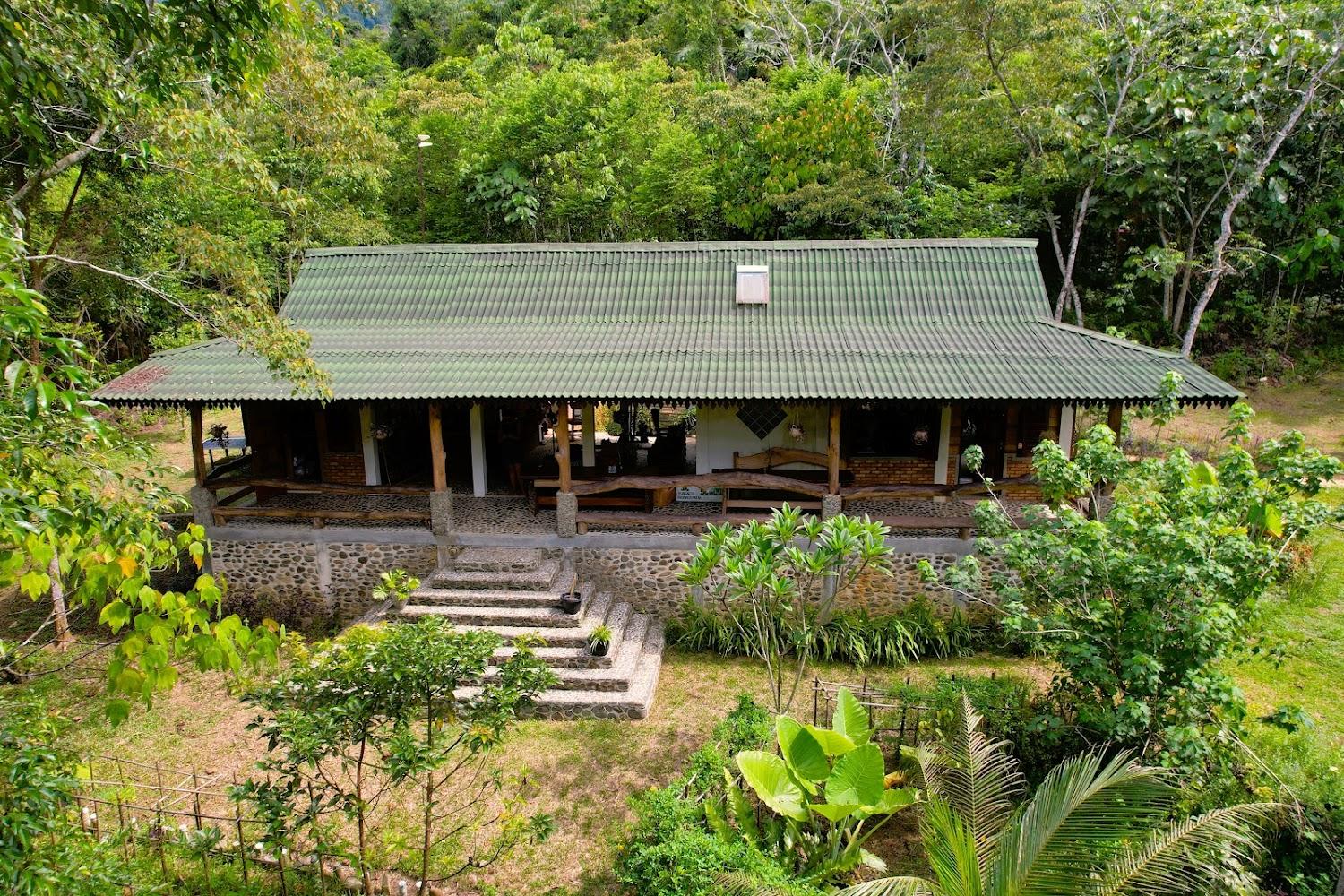 Cover Image for Hutan Subur Conservation Project Sumatra