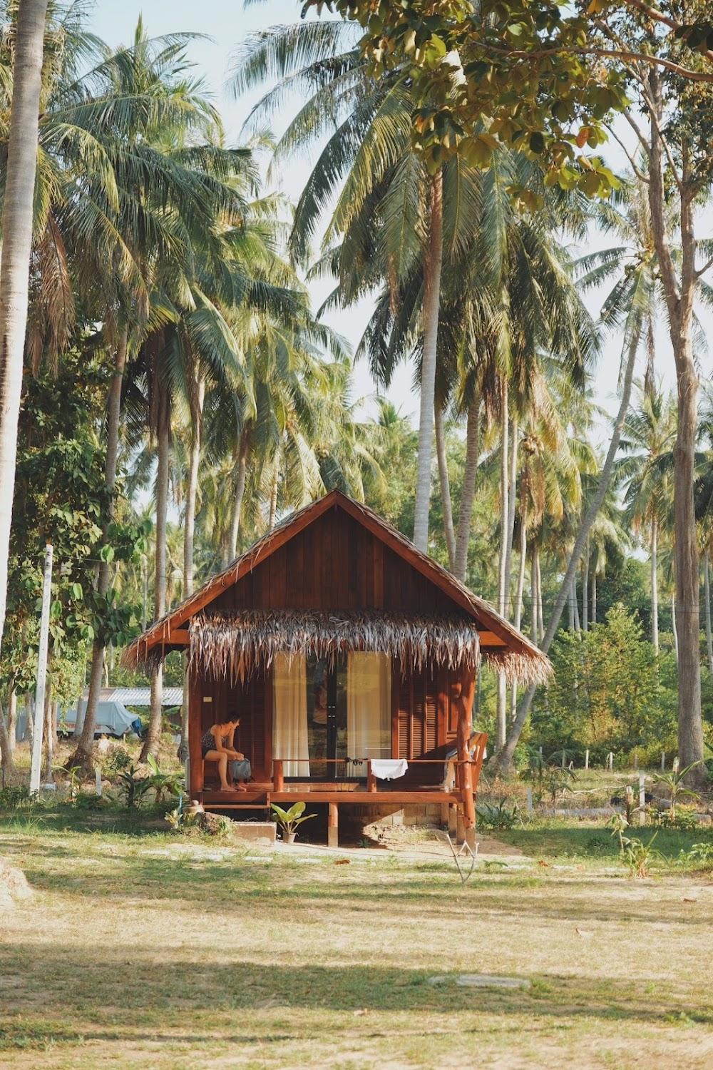 Cover Image for COCO CANOPY BOUTIQUE RESORT