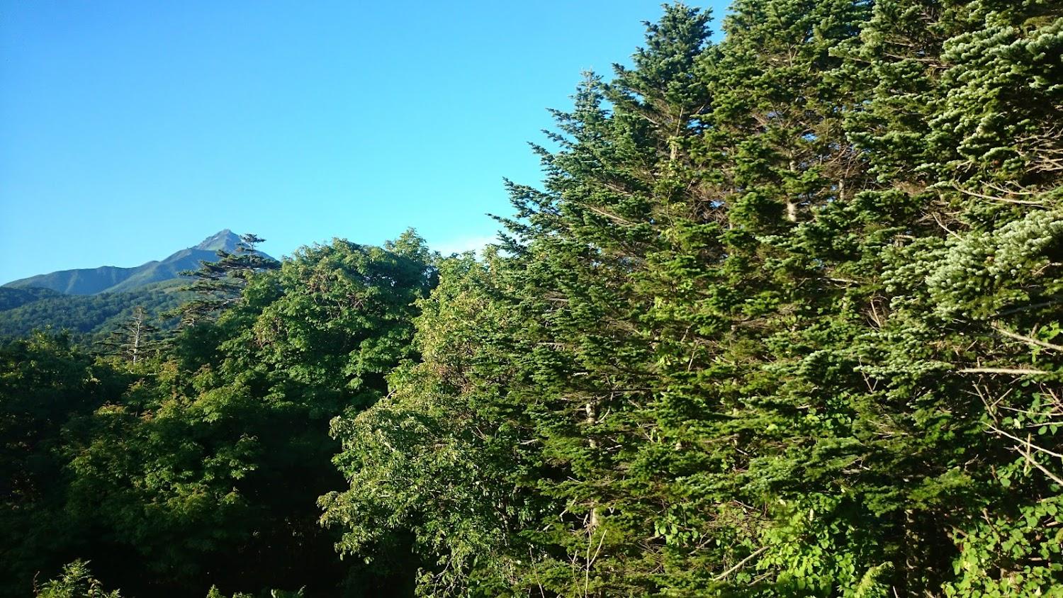 Cover Image for ペンション群林風