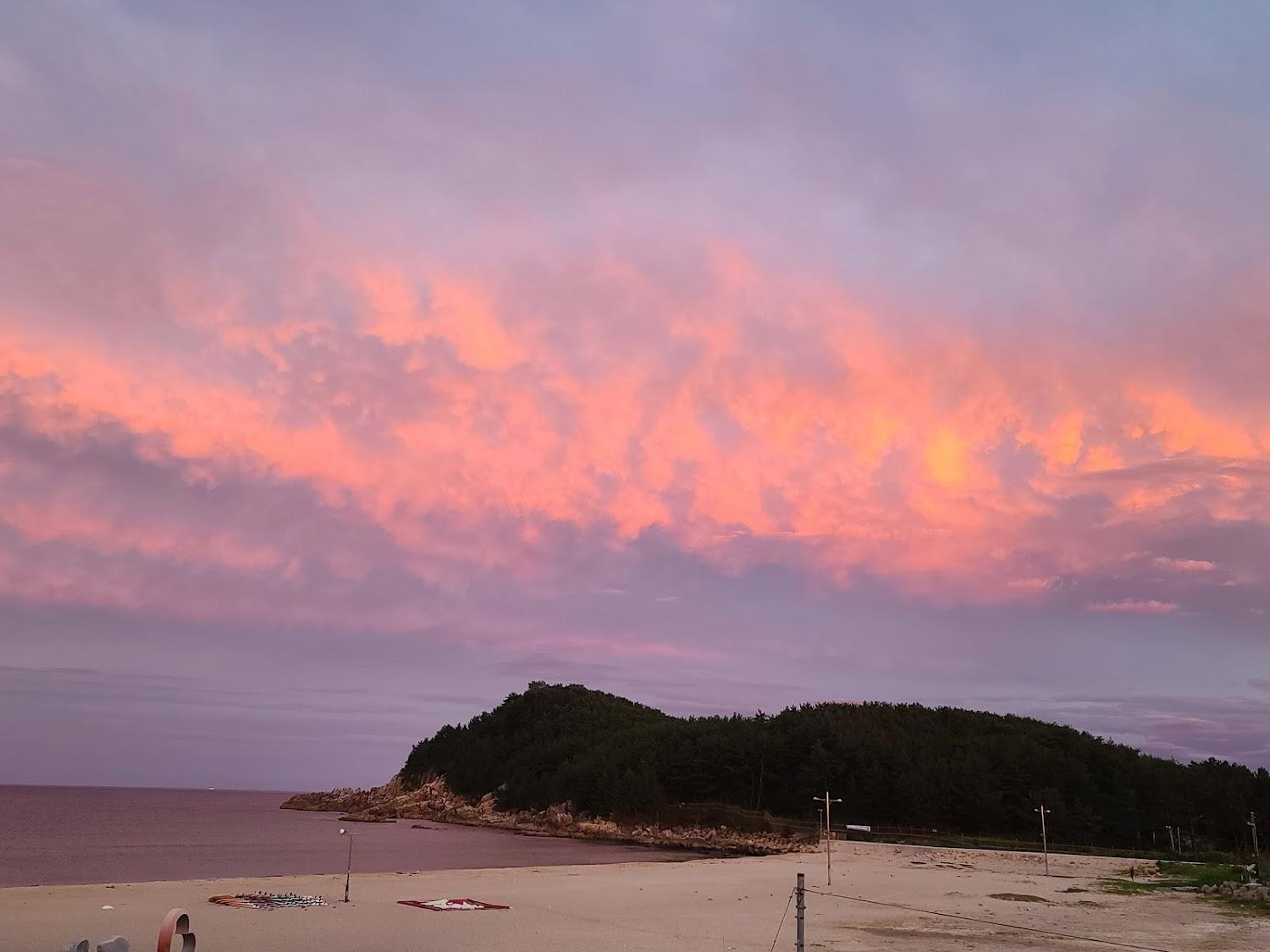 Cover Image for 백도SEA