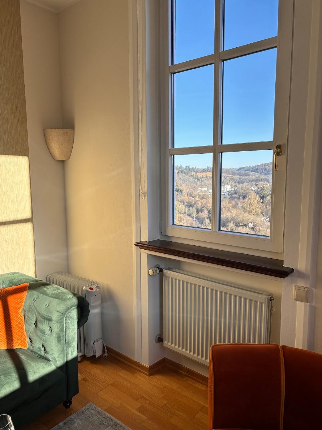 Cover Image for Burg Daun