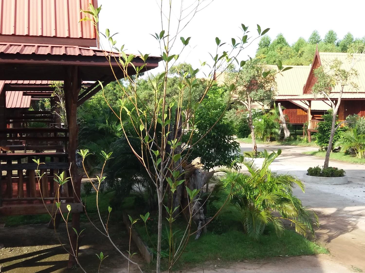 Cover Image for ดงรักเรือนไทย รีสอร์ท
