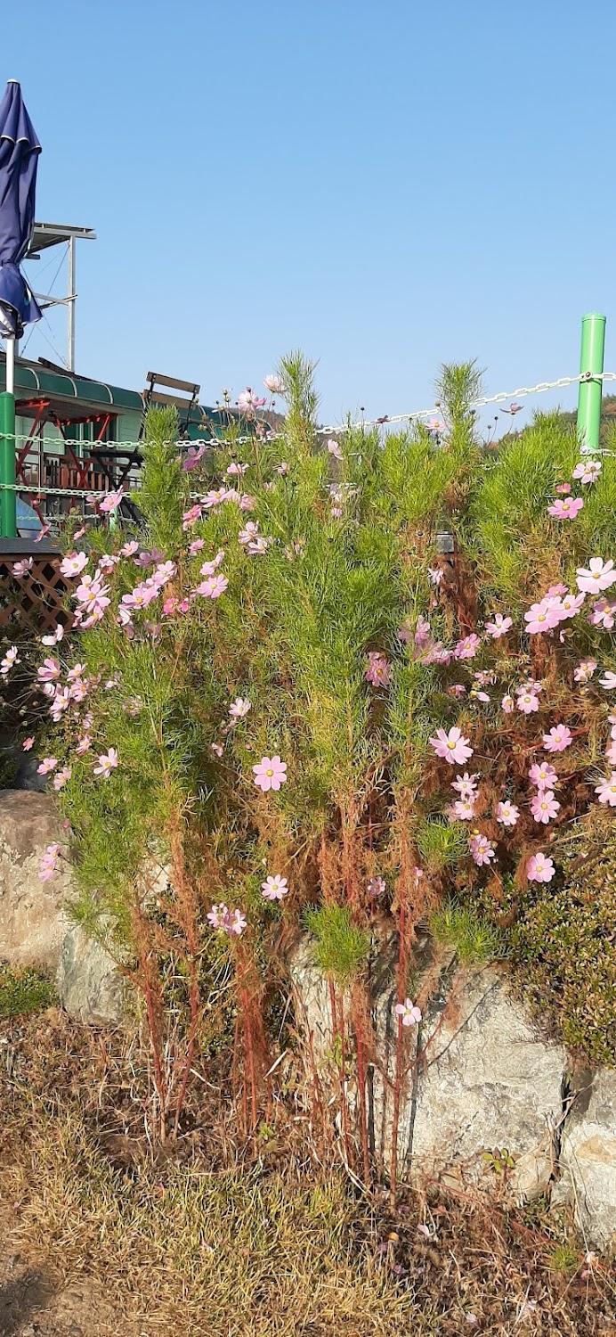 Cover Image for 고운미소펜션