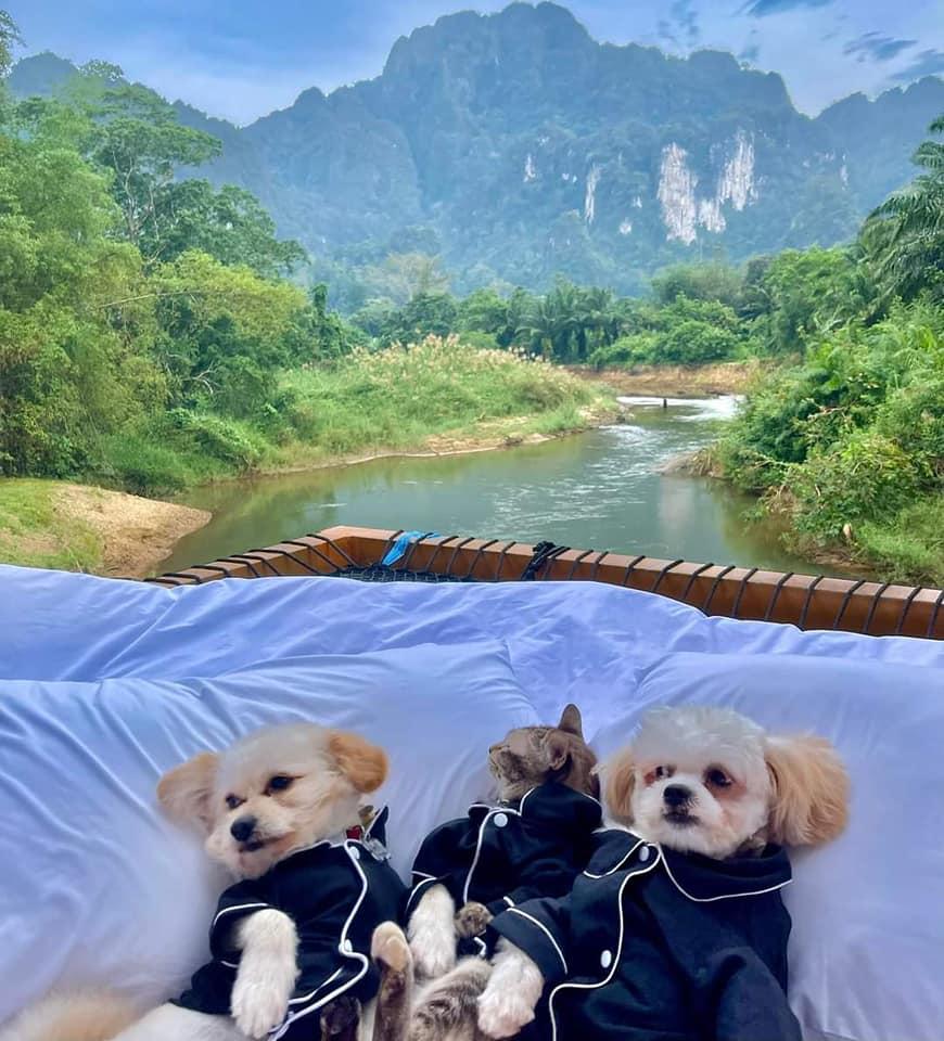 Cover Image for Phu Siab Mhok@Khao Sok