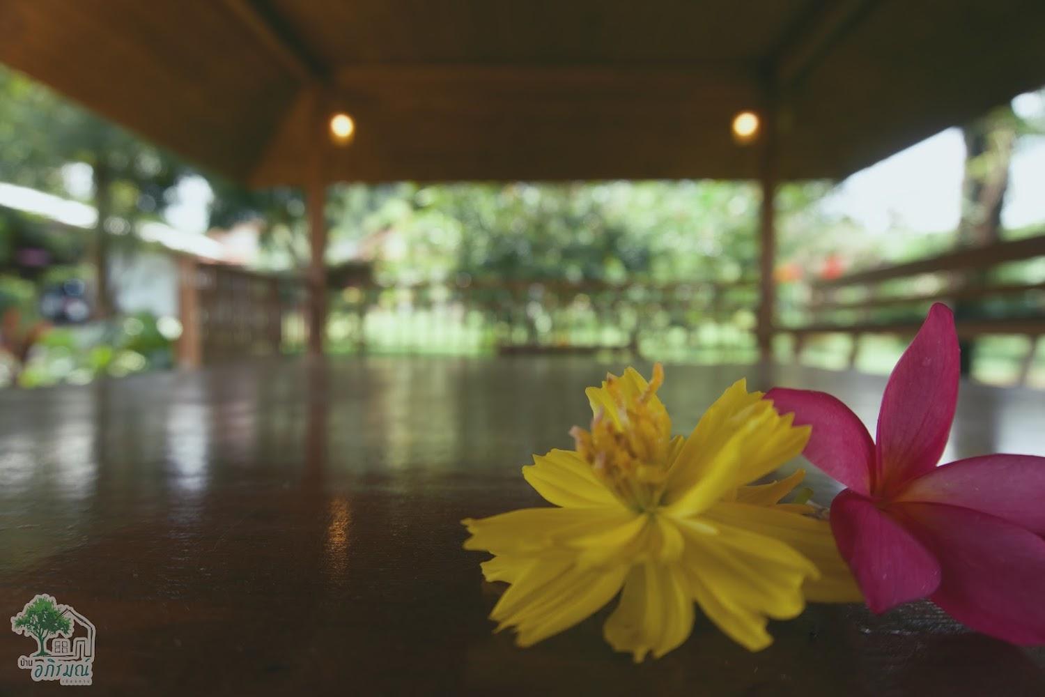 Cover Image for บ้านอภิรมณ์ เชียงคาน