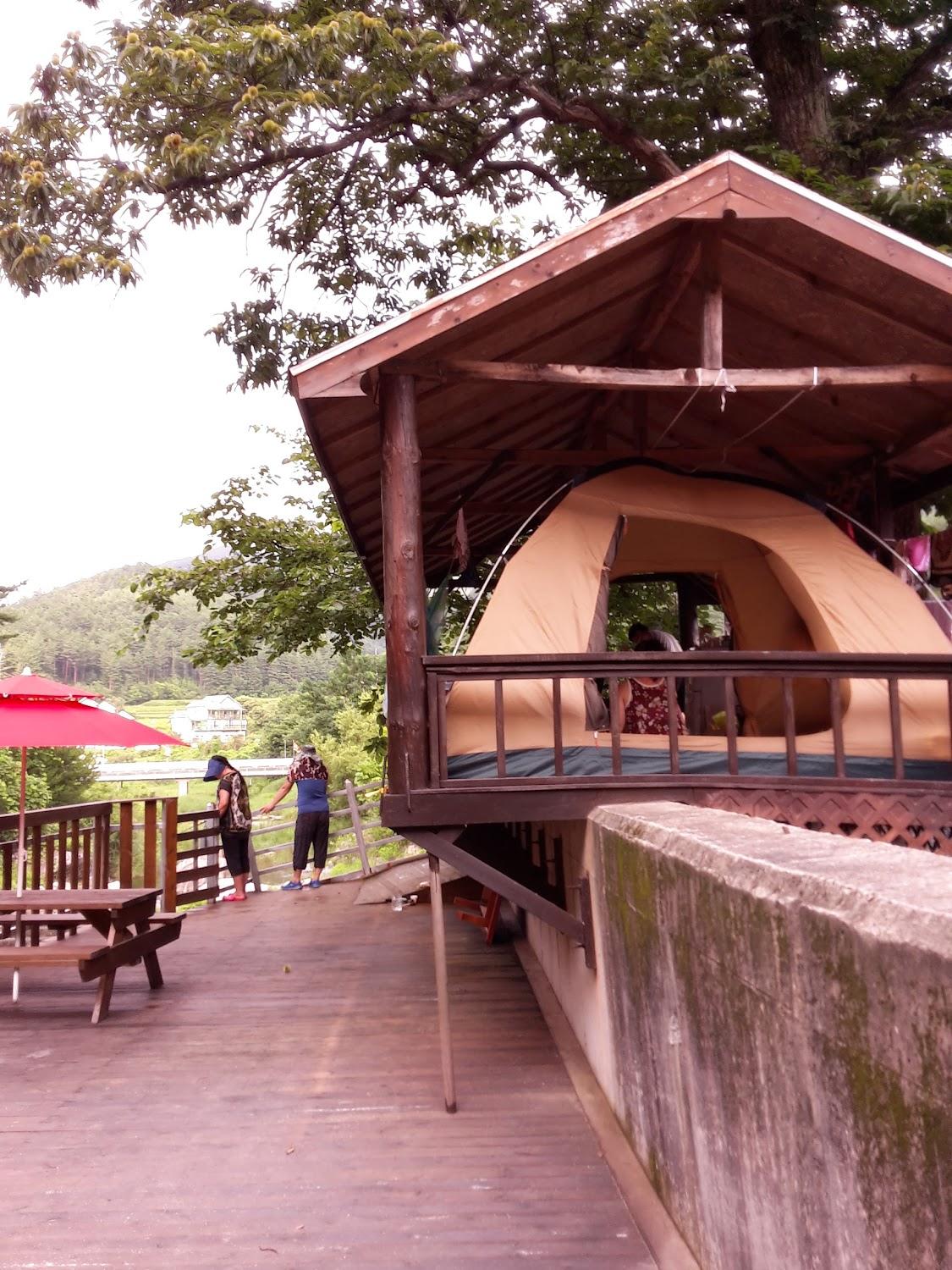 Cover Image for 탁장사펜션