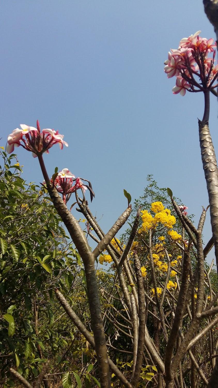 Cover Image for Kongtong resort