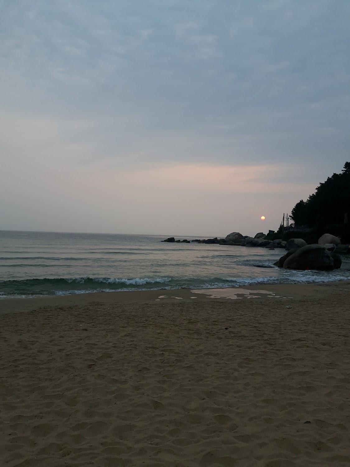 Cover Image for 시온민박