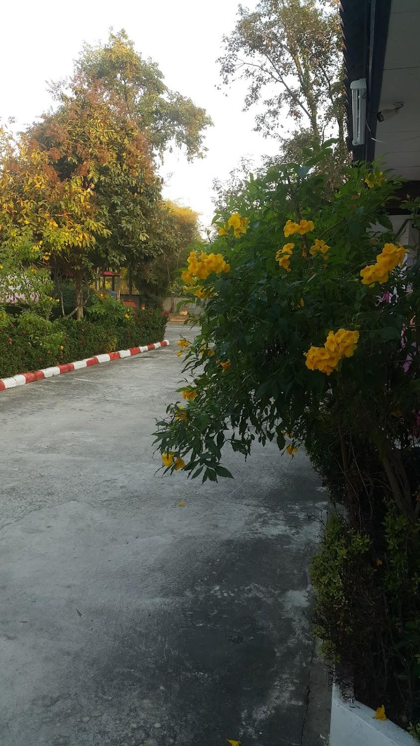 Cover Image for สวีทอินน์ รีสอร์ท