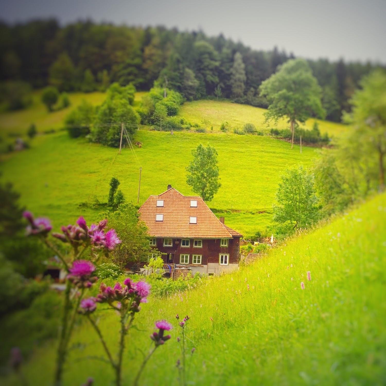 Cover Image for Ferienwohnung Teich11