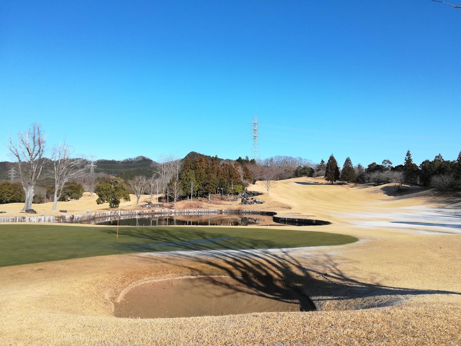 Cover Image for Windsor Park Golf And Country Club