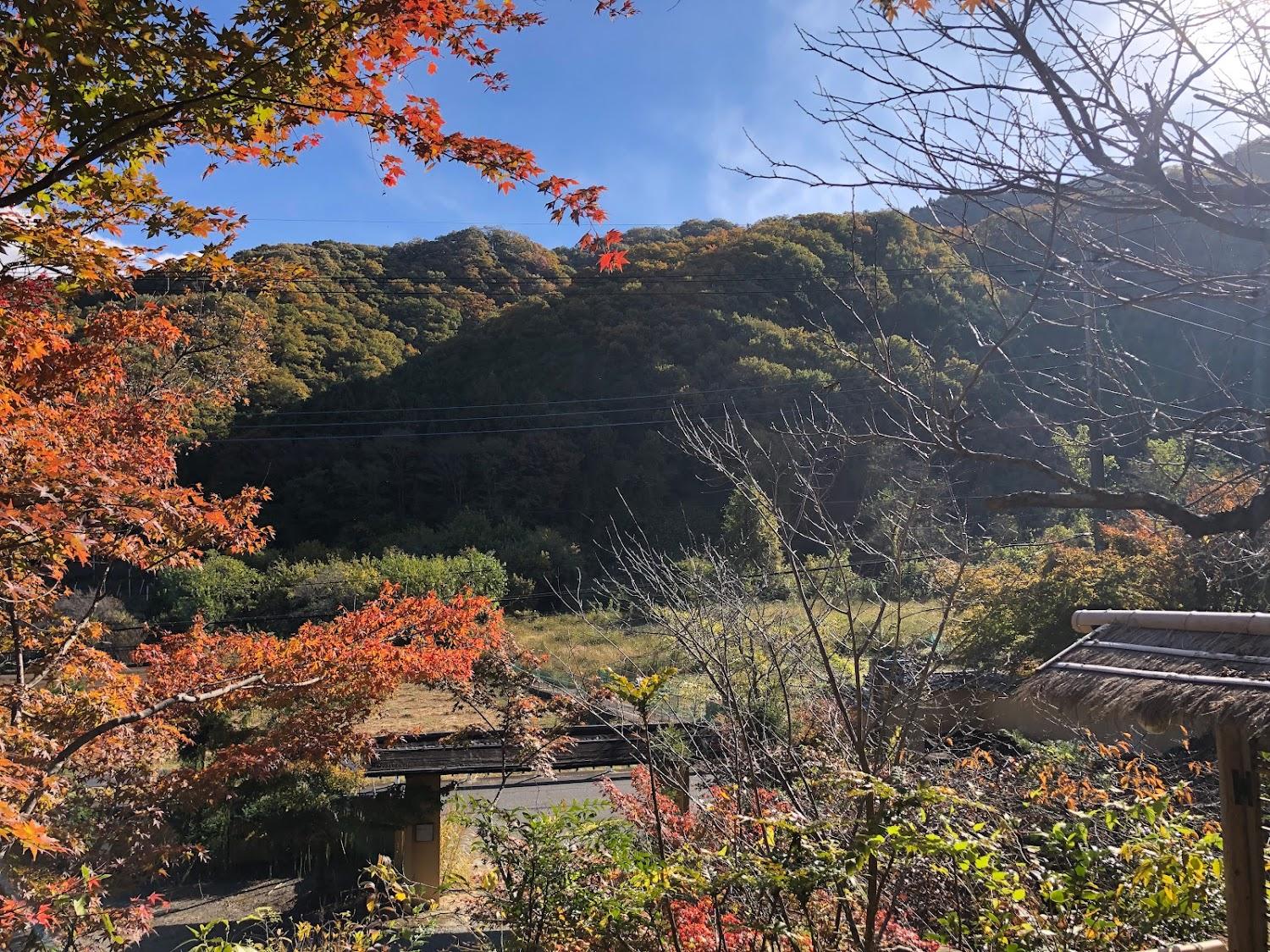 Cover Image for Yajima