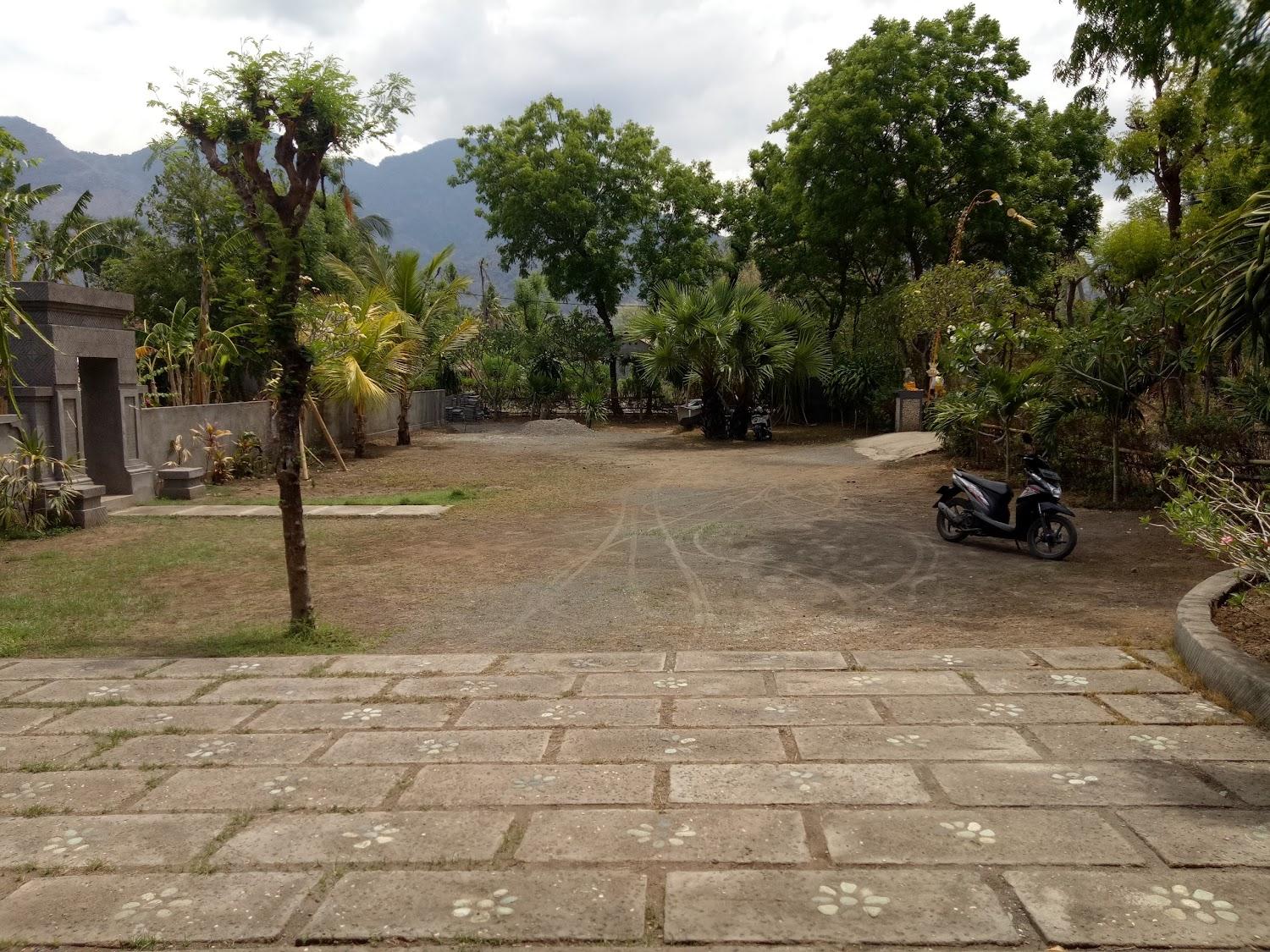 Cover Image for Bali Gecko Homestay