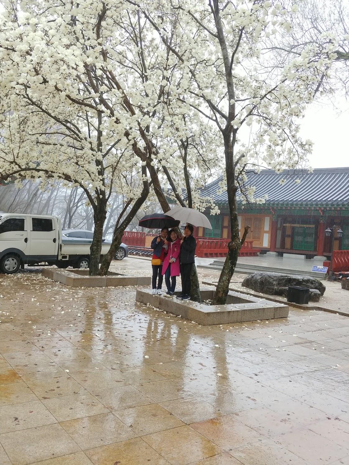 Cover Image for 섬진강은어마을펜션단지