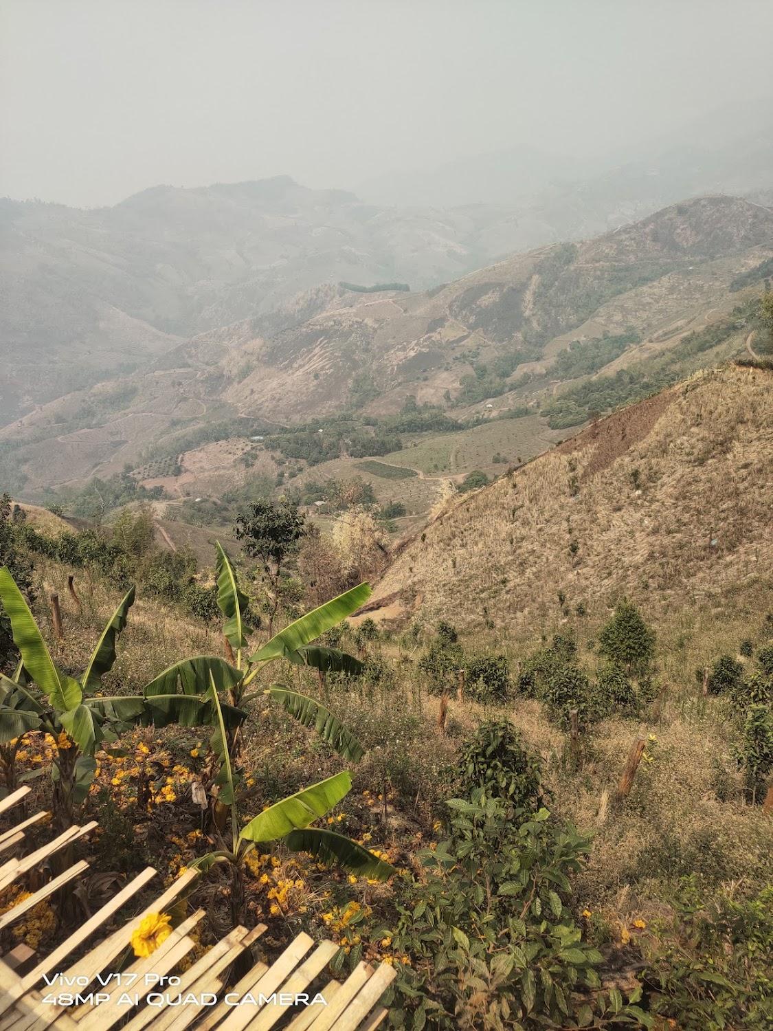 Cover Image for CheevaVavee Doichang Resort