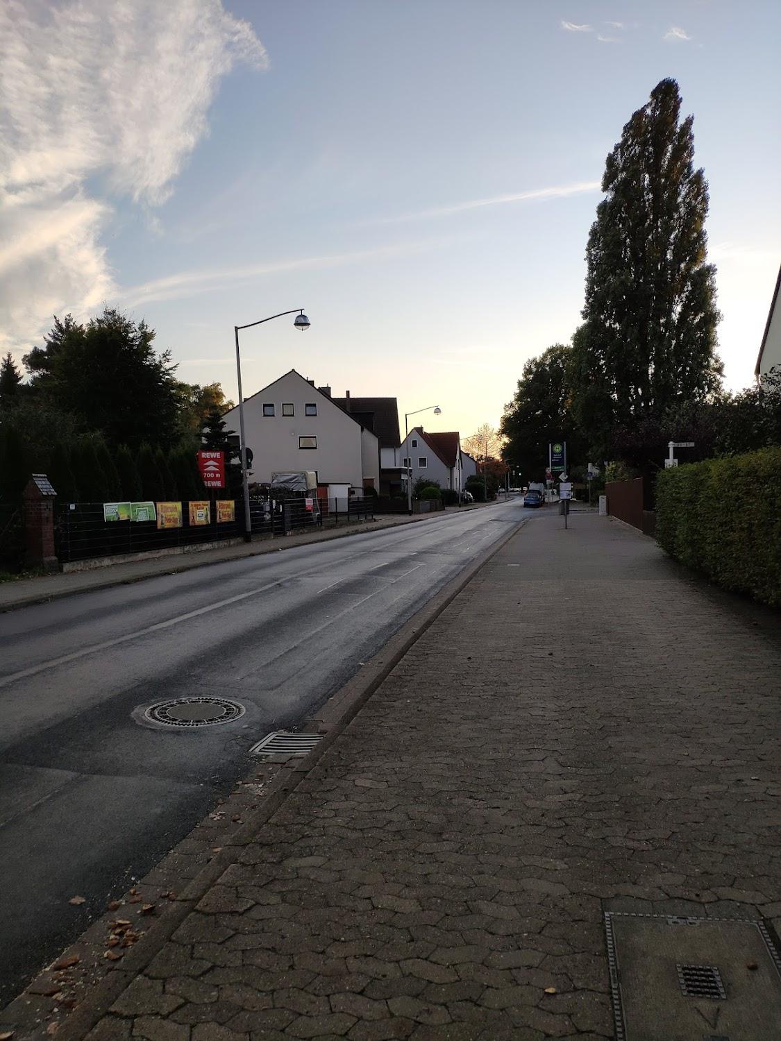 Cover Image for Alt Vinnhorst