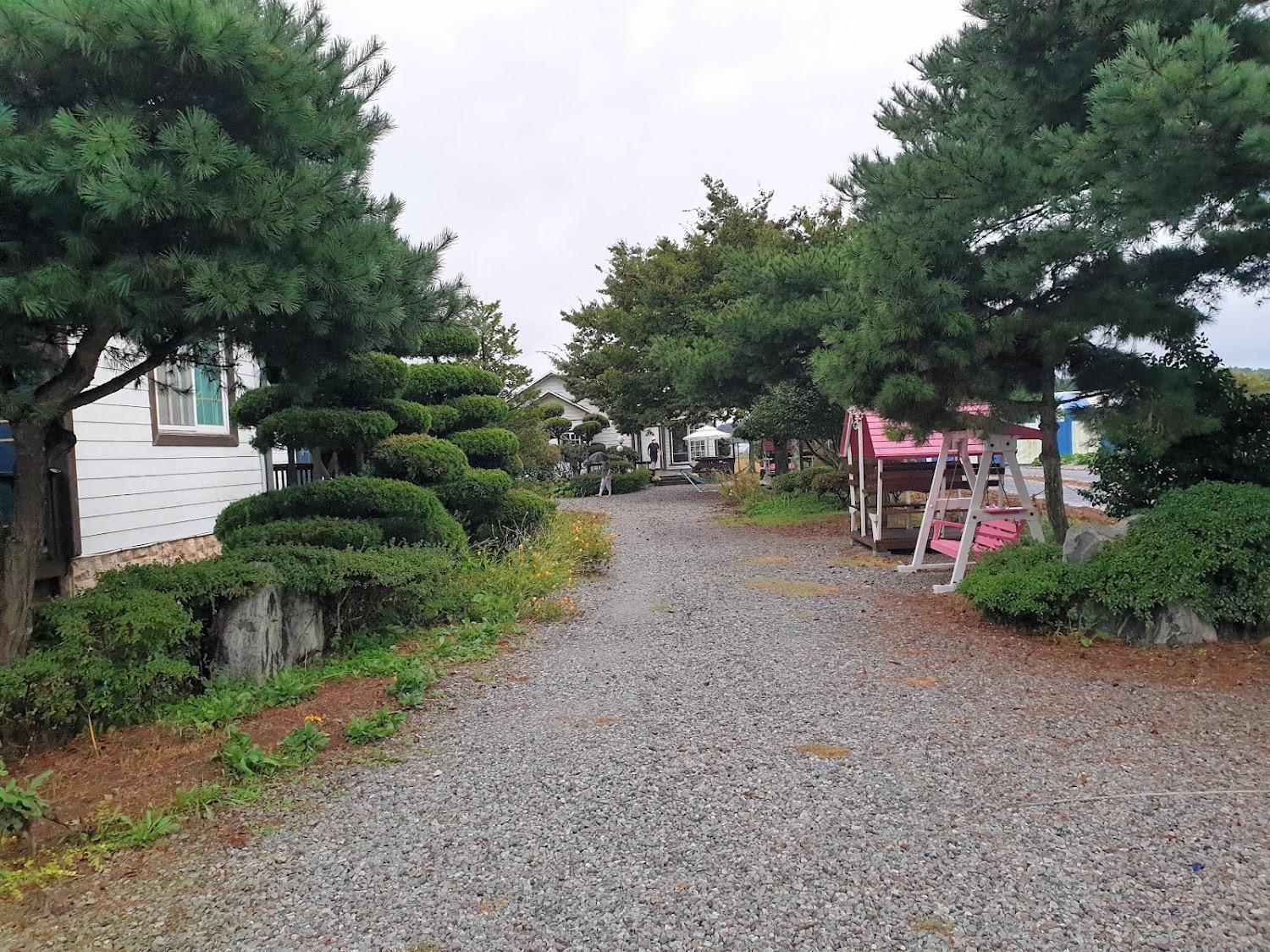 Cover Image for 화이트펜션