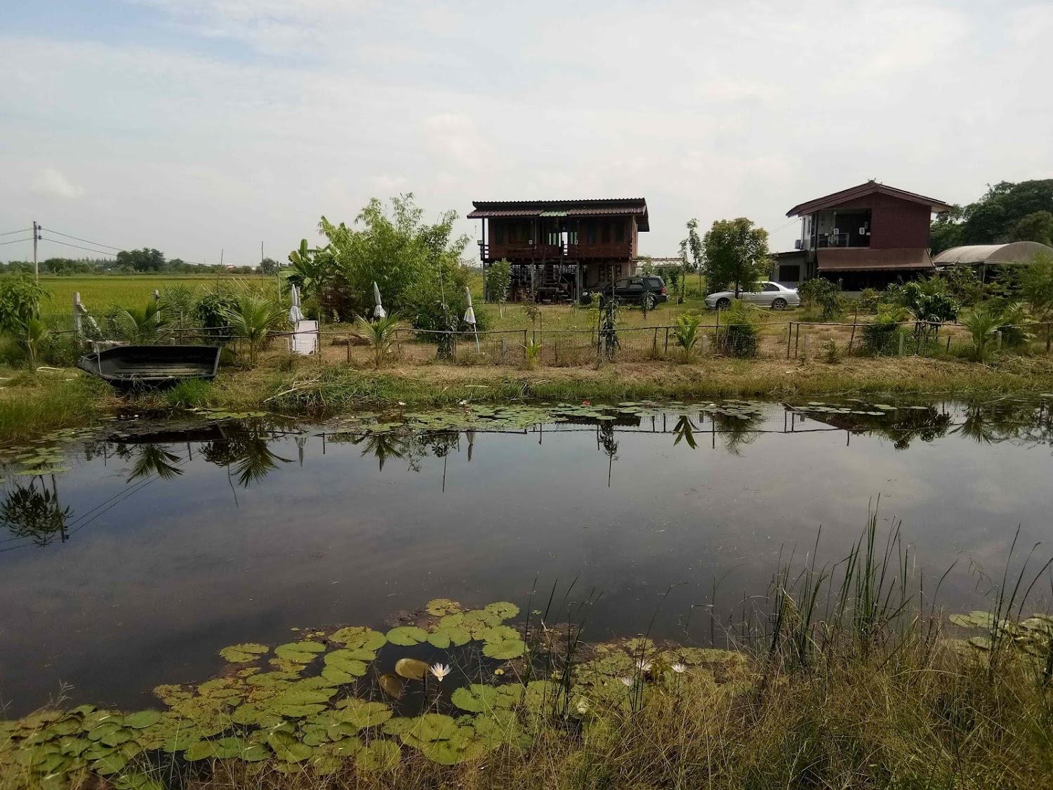 Cover Image for Ban Suan Khun Yai, บ้านสวนคุณยาย โฮมสเตย์ชายทุ่ง