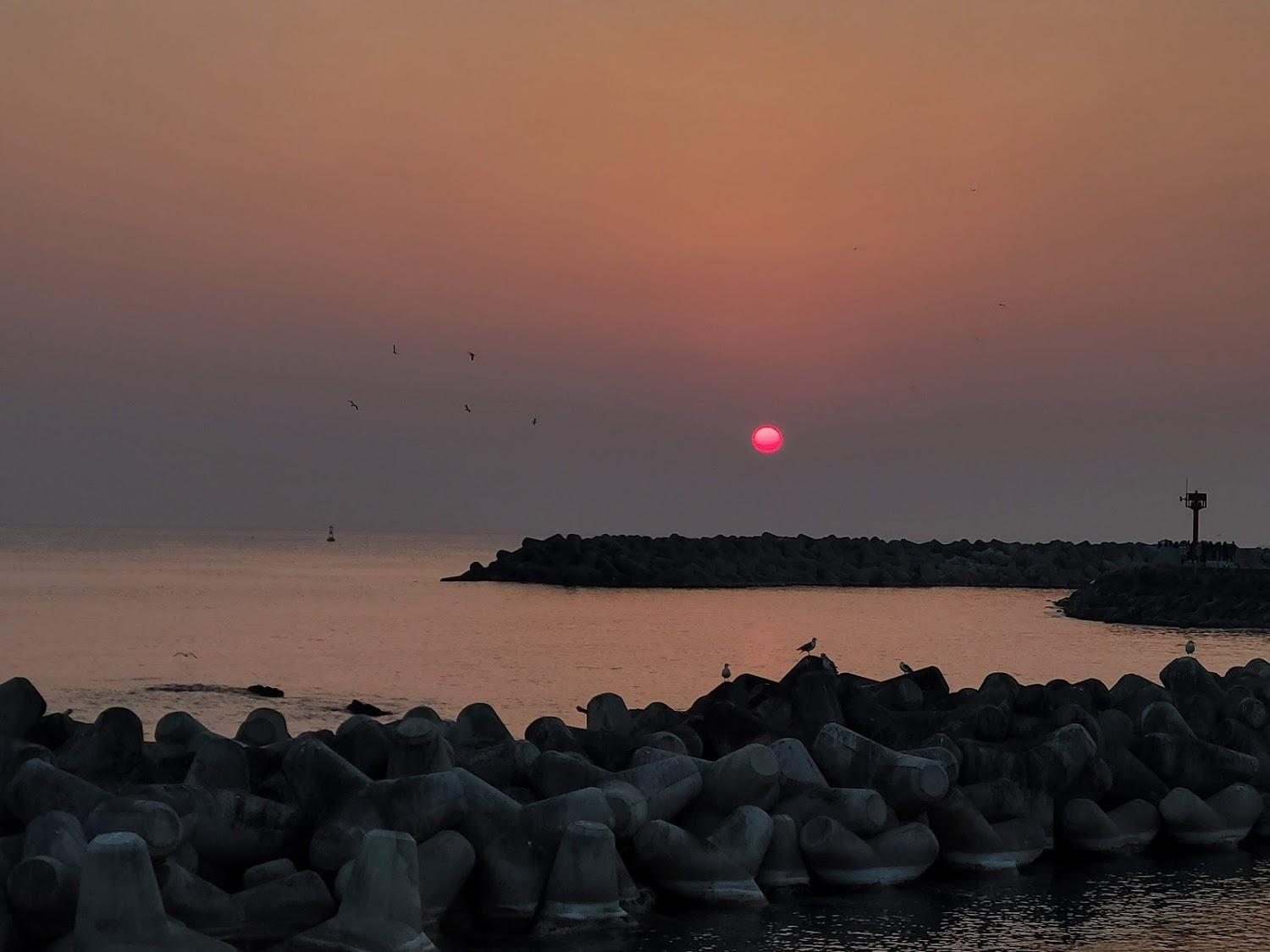 Cover Image for 선우펜션