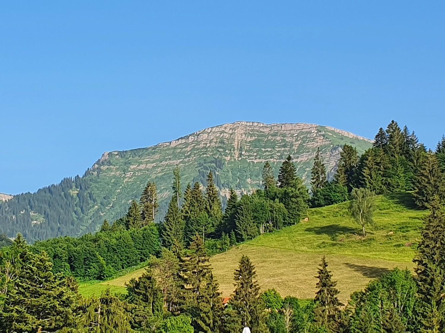 Cover Image for Biohotel Berghüs Schratt