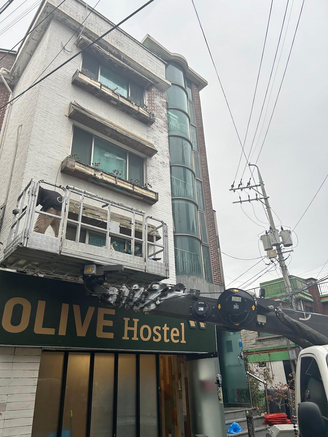 Cover Image for Olive hostel W
