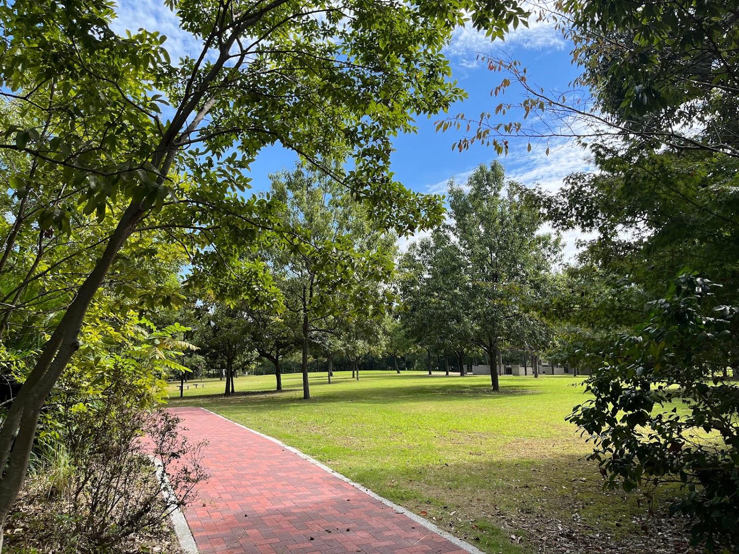 Cover Image for Children's Camp Area