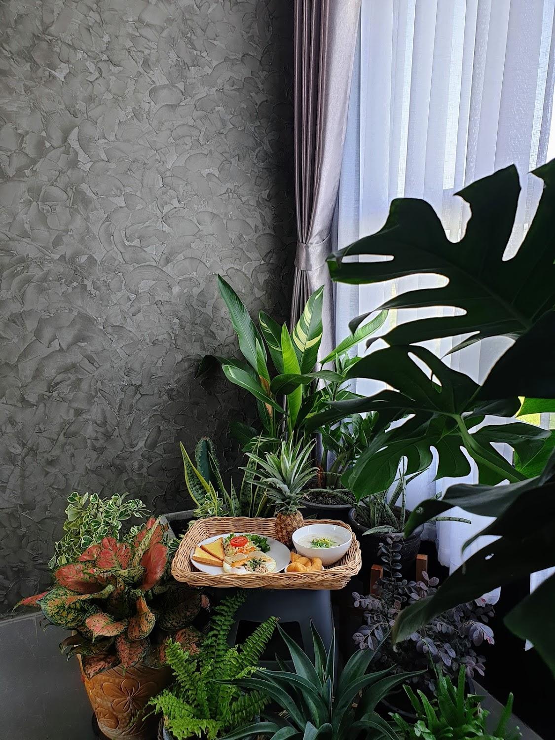 Cover Image for 421 House