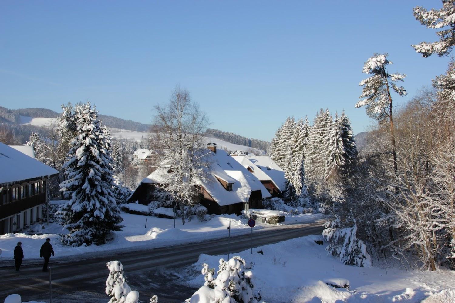 Cover Image for Cottage on Kohlplatz