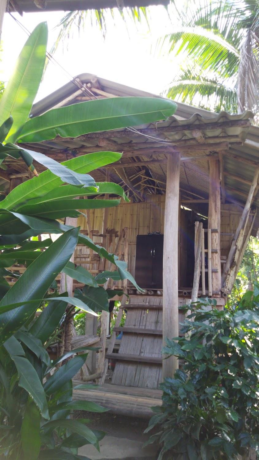 Cover Image for Renato's Bamboo House