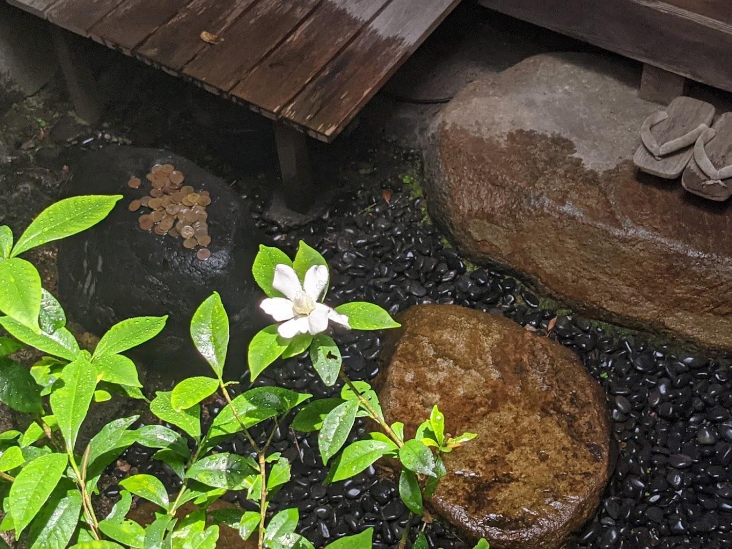 Cover Image for Guest House Itoya