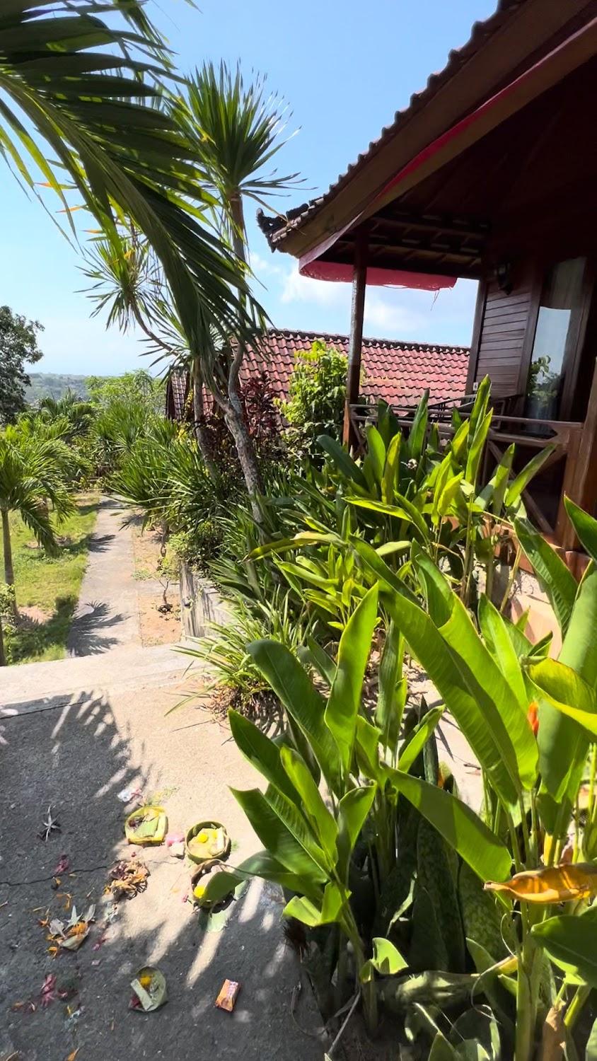 Cover Image for The Pandawa Hills