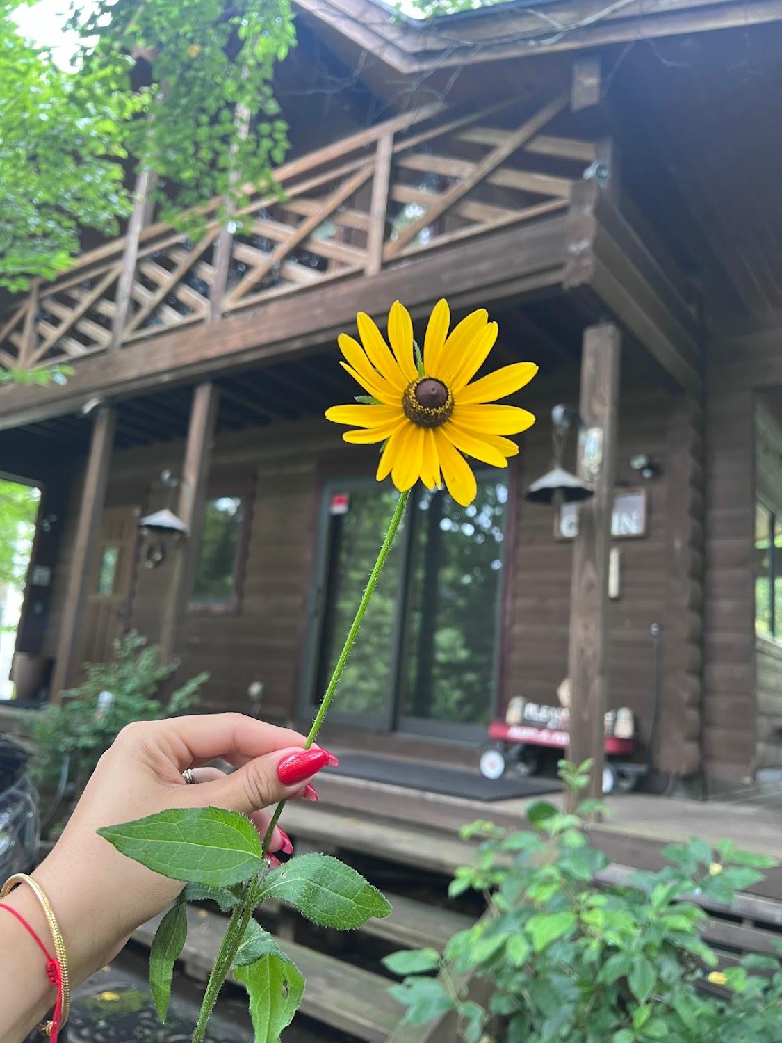 Cover Image for Yu-cabin