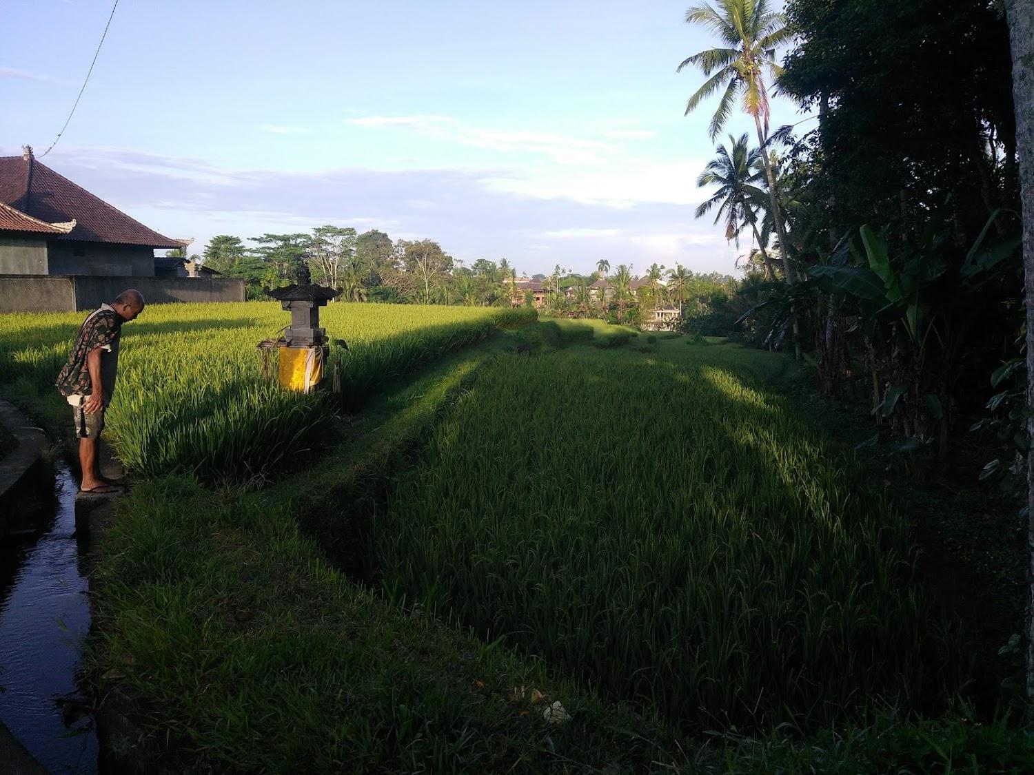 Cover Image for Yudi House