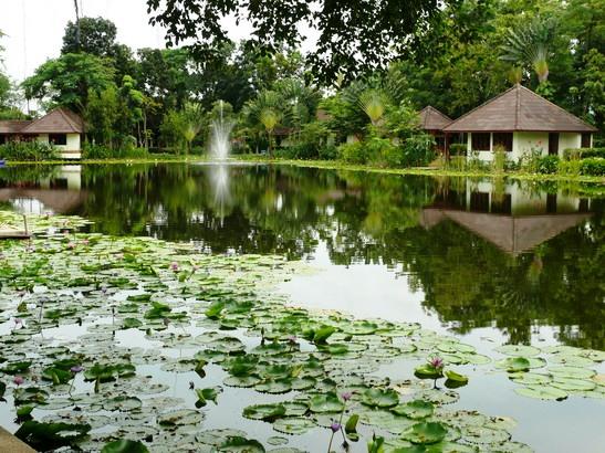 Cover Image for ชลพฤกษ์ รีสอร์ท โซนบังกะโล B [B1-16]