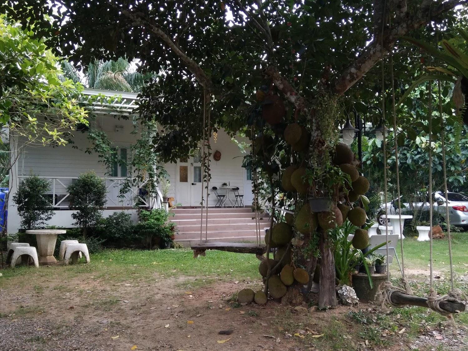 Cover Image for Kedsila Guesthouse