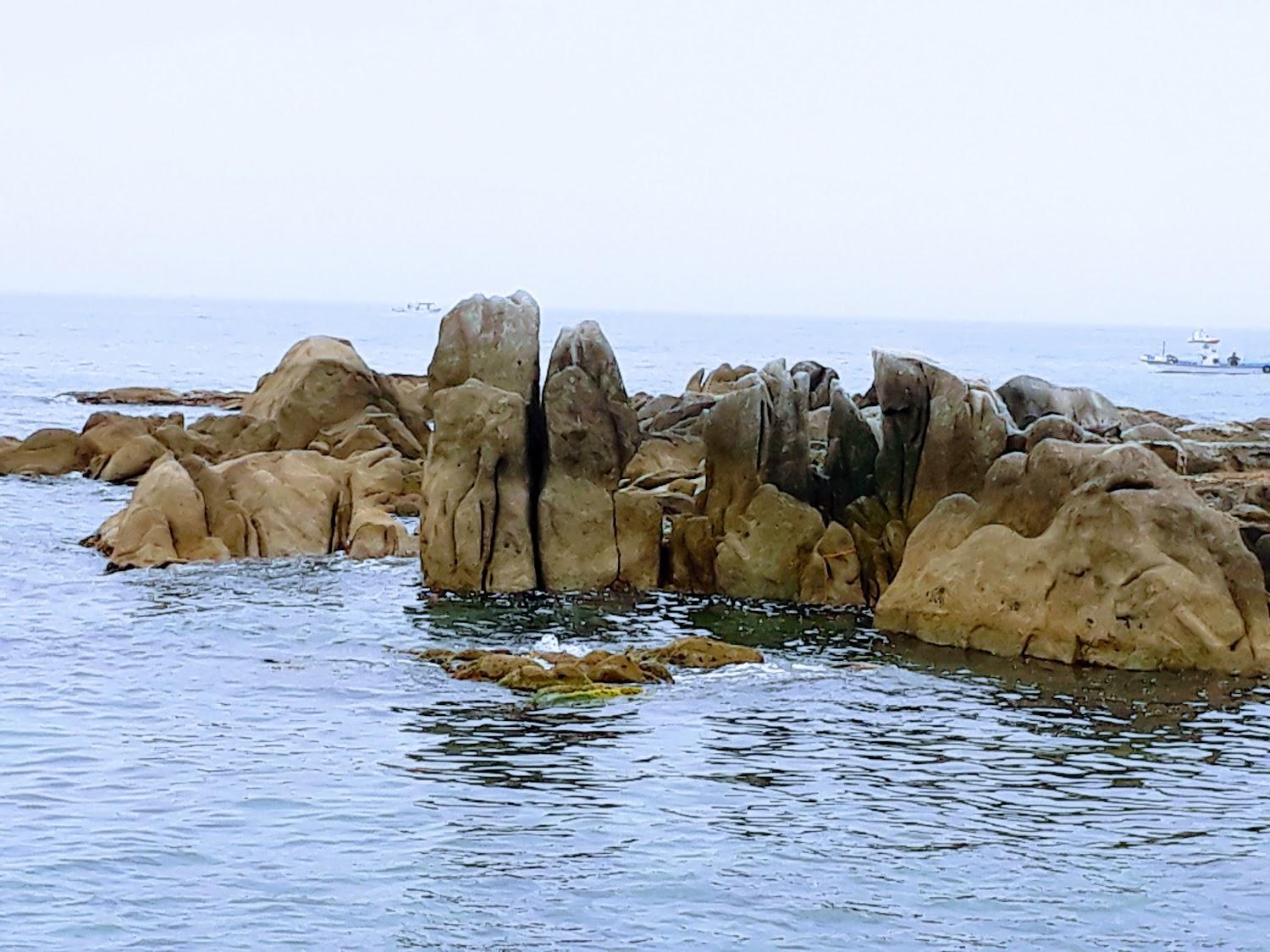 Cover Image for Millano