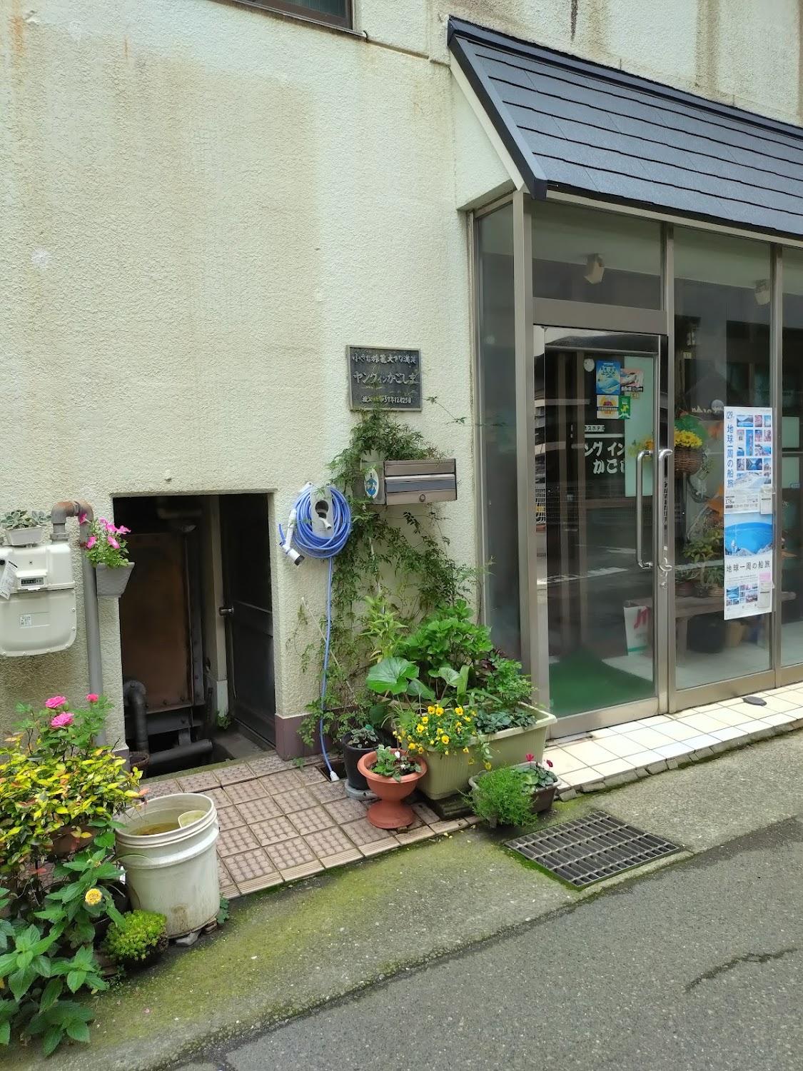 Cover Image for ヤングインかごしま