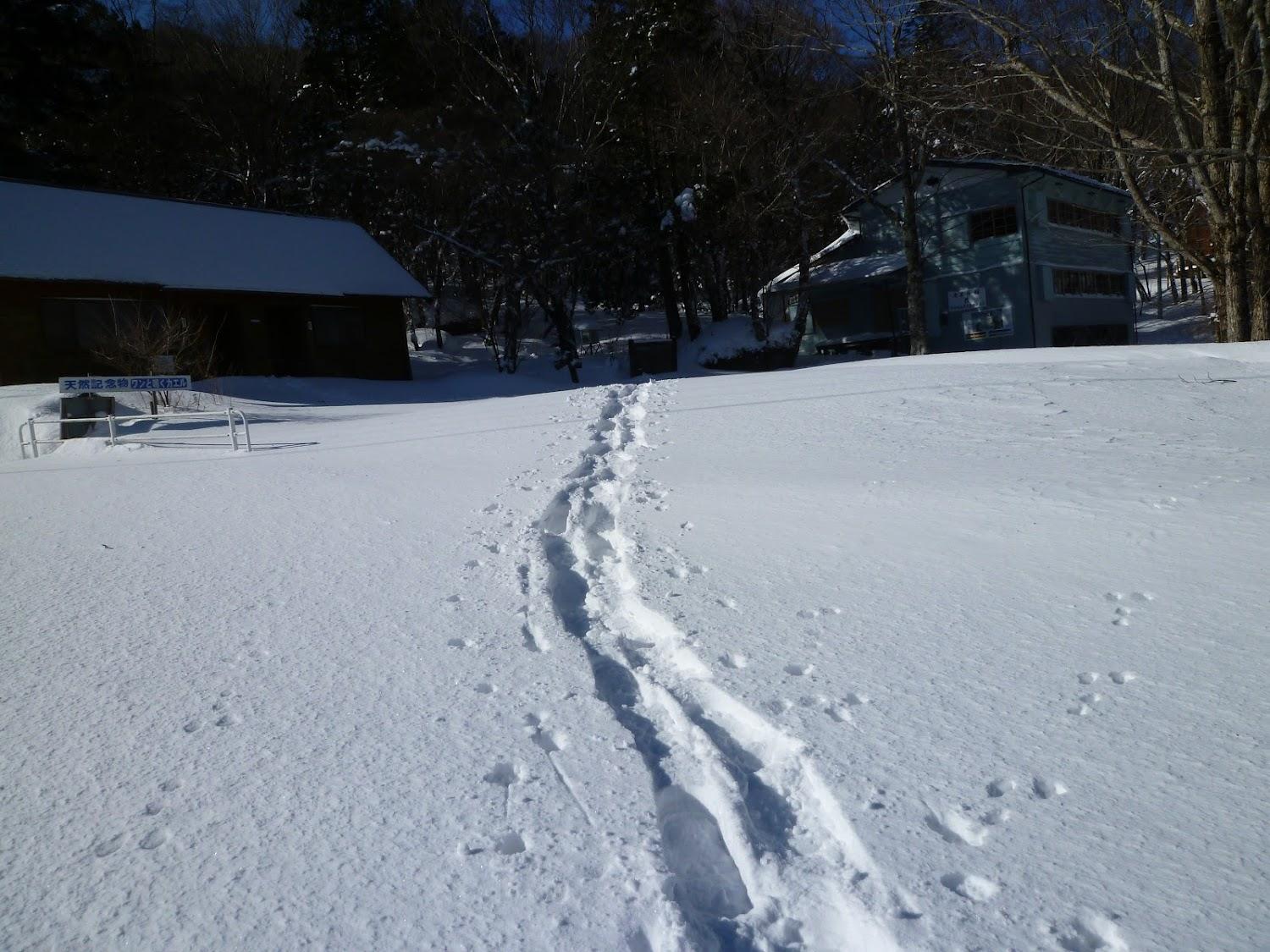 Cover Image for 安城市茶臼山高原野外センター