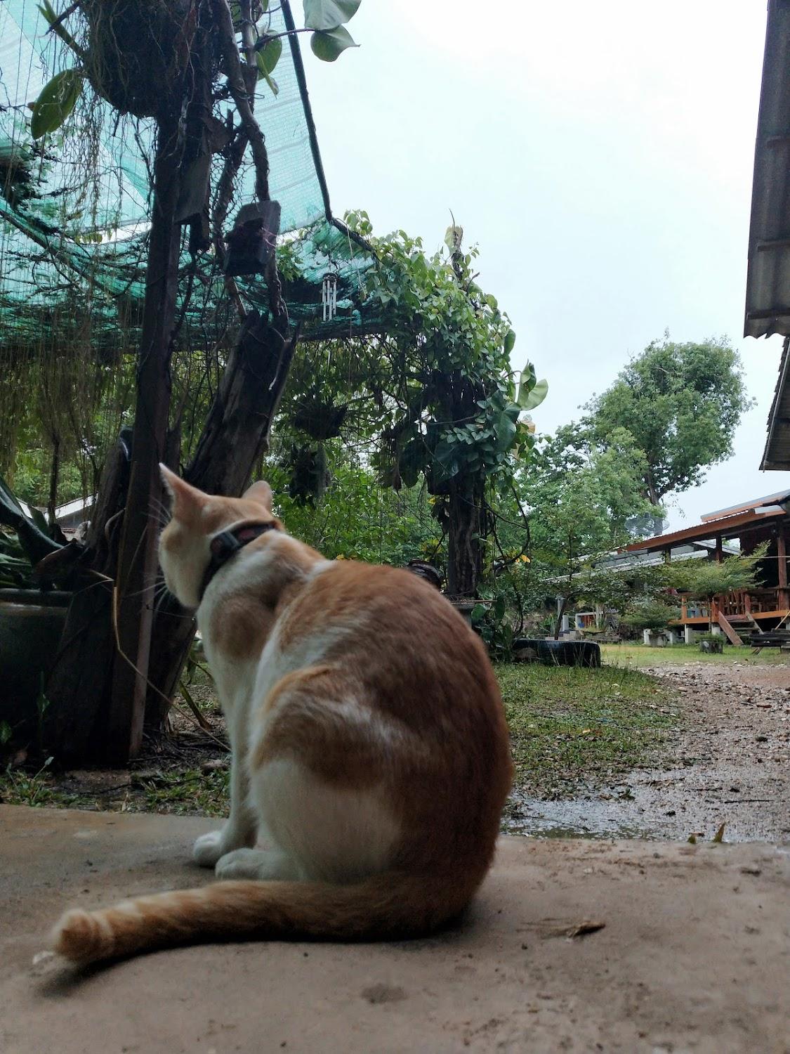 Cover Image for จินดามณี อินน์