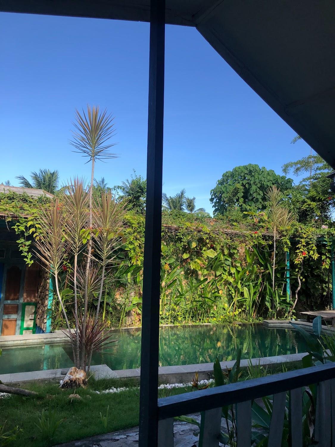 Cover Image for Beruga Mandalika