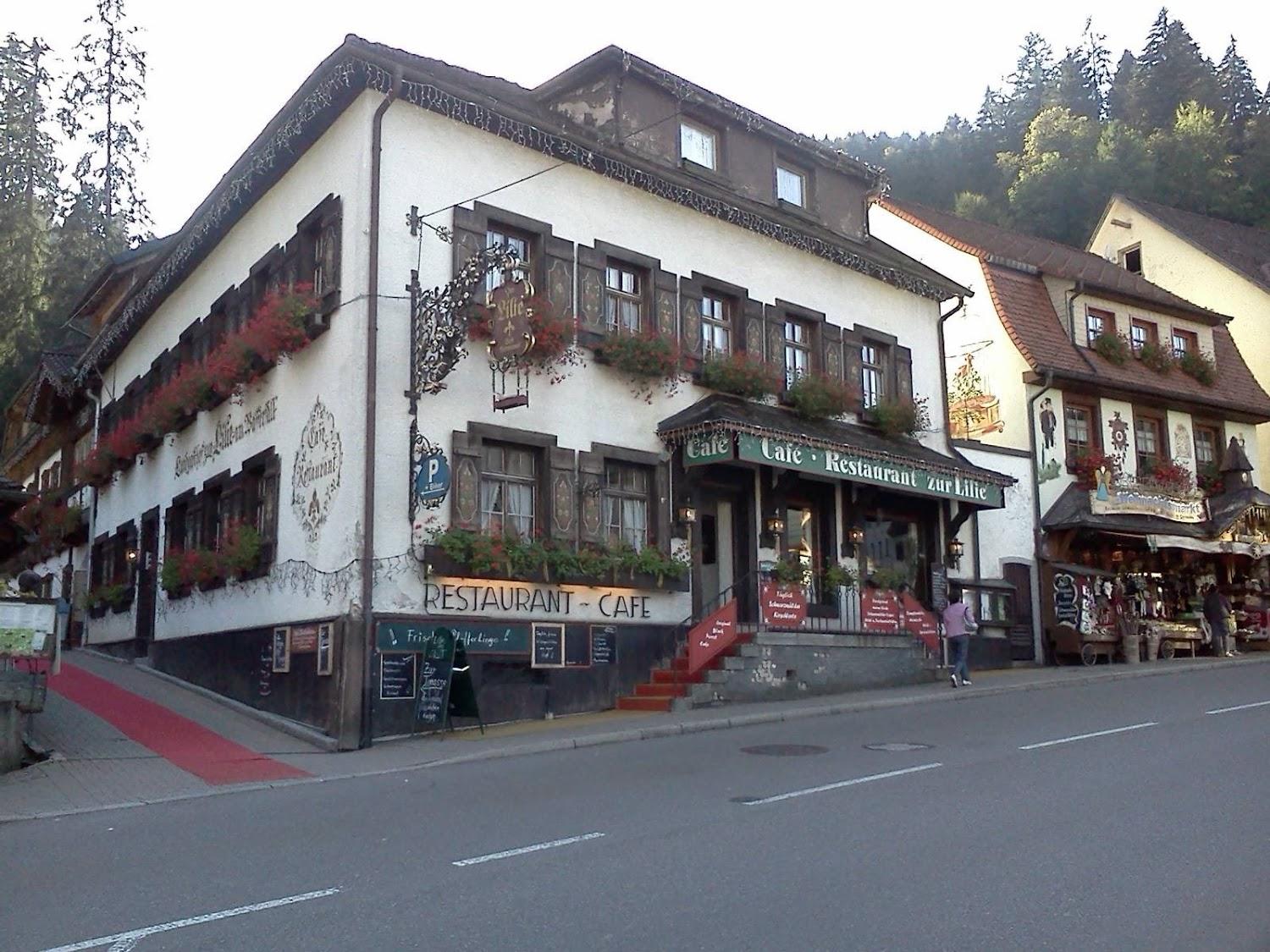 Cover Image for Titisee
