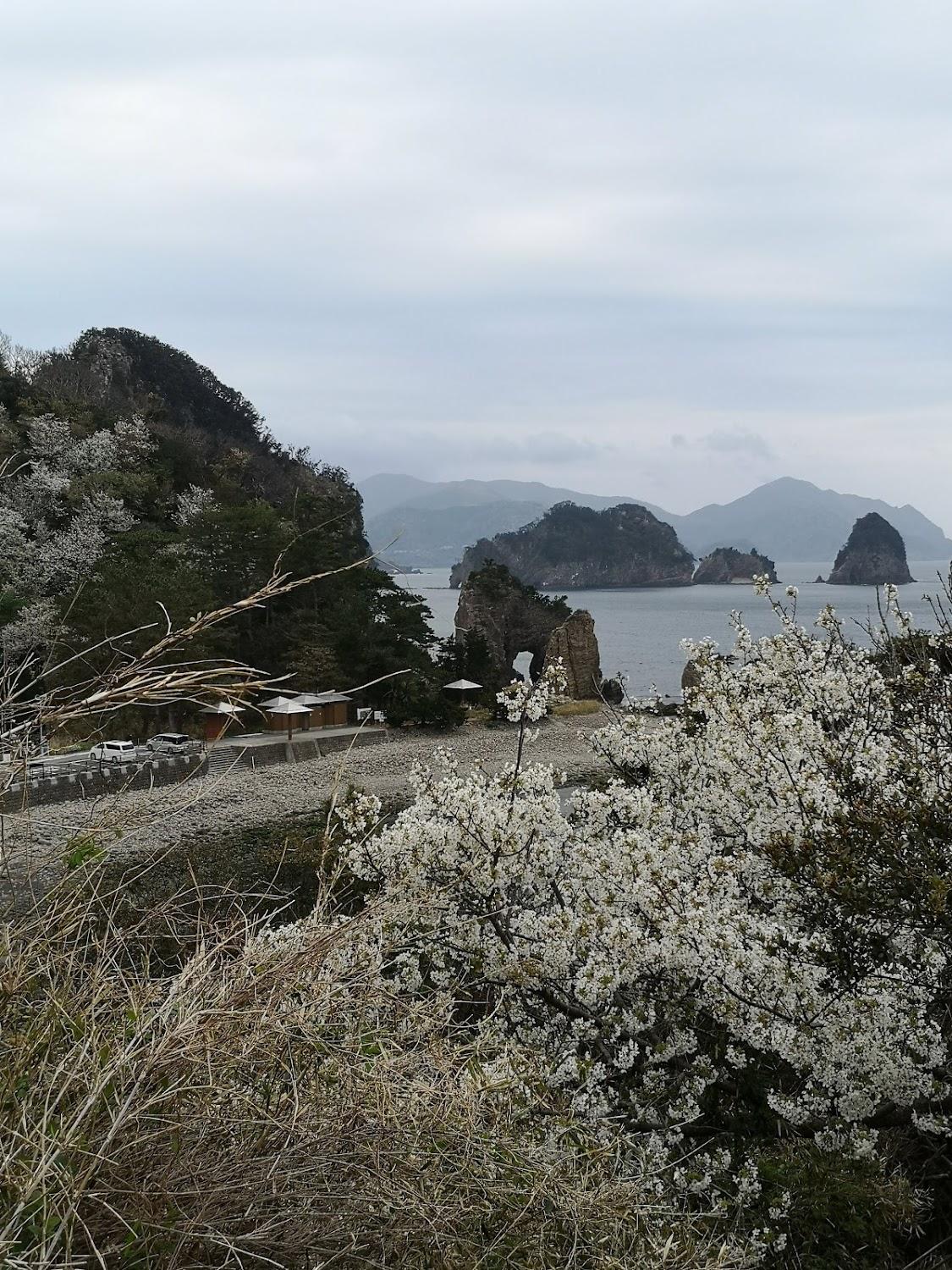 Cover Image for Dogashima Land Hopia