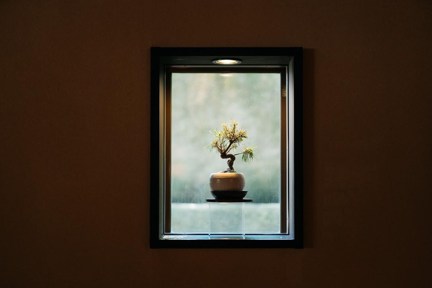 Cover Image for Kajikaso ryokan
