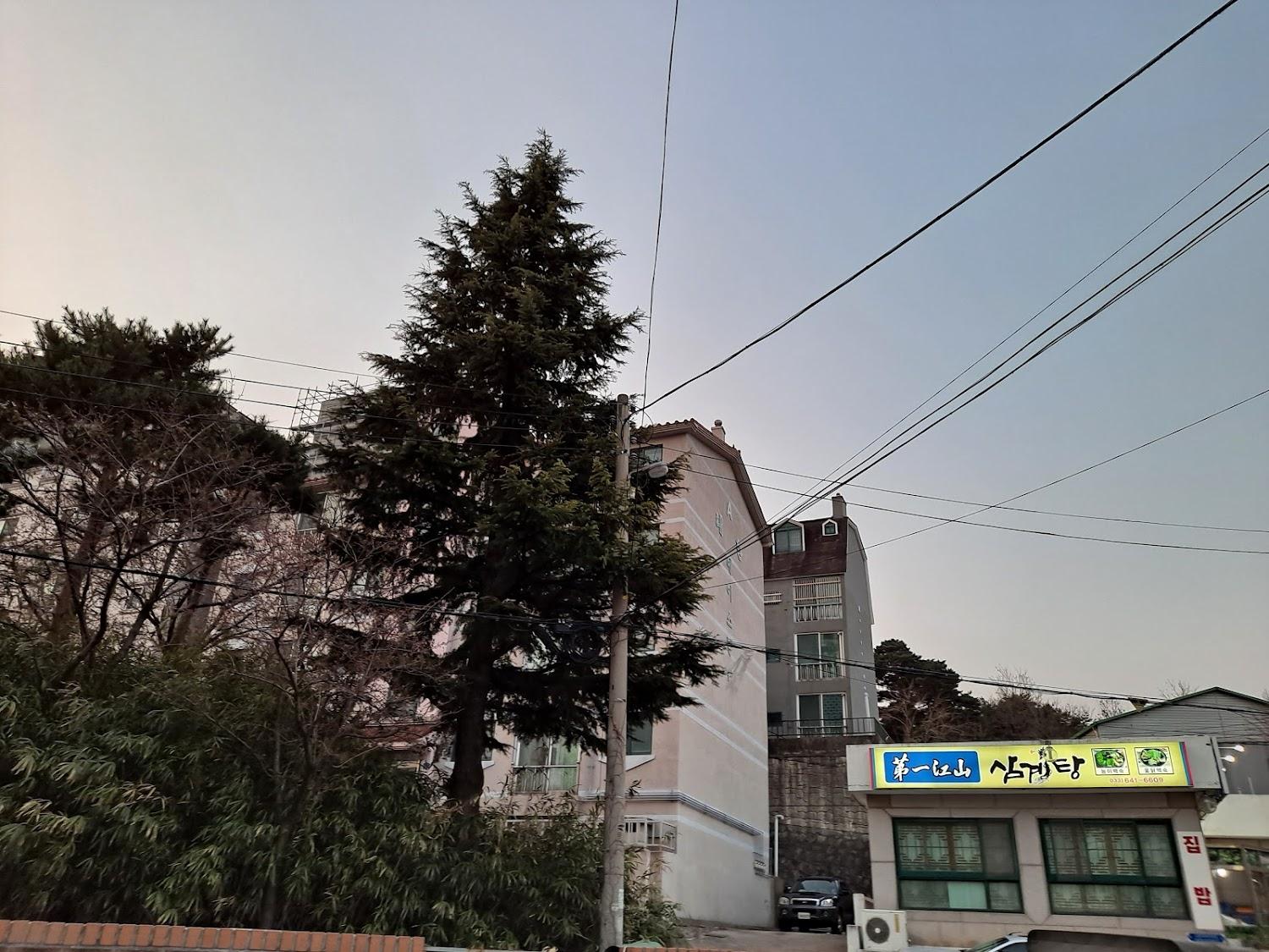 Cover Image for 피크닉모텔